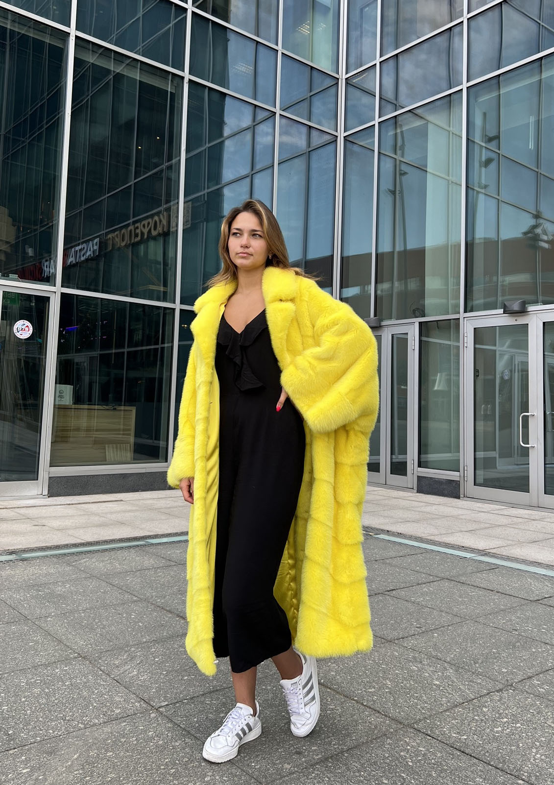 Модель «Фиона»